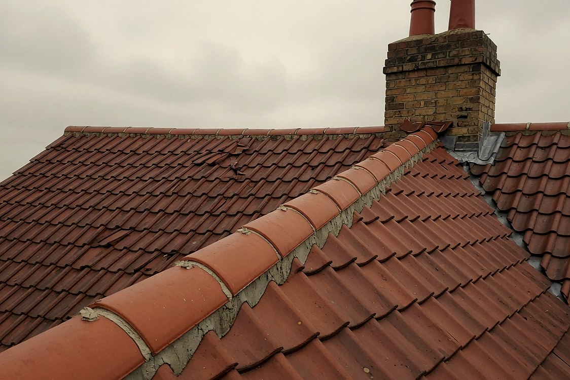 Freshly pointed terracotta ridge tiles along the apex of a clay-tiled roof